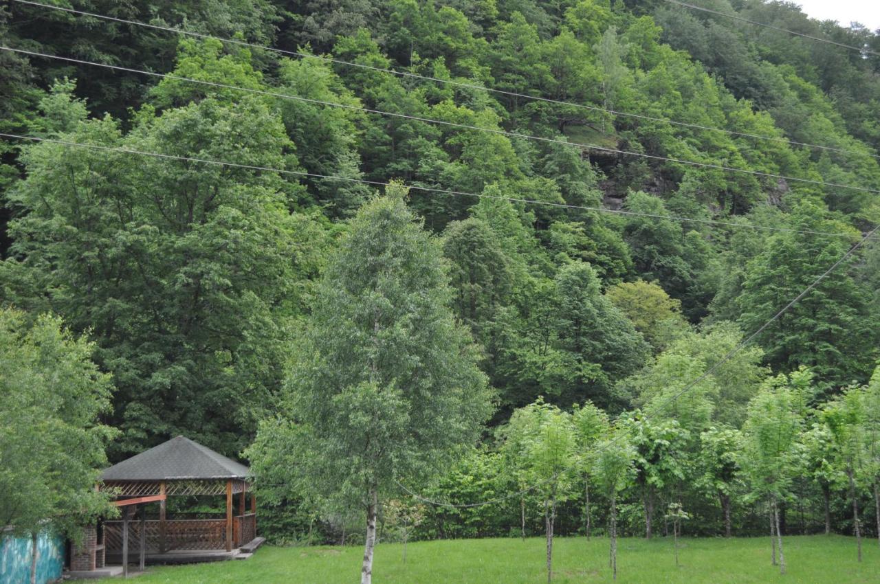 Casa Verde Rîu de Mori Exterior foto