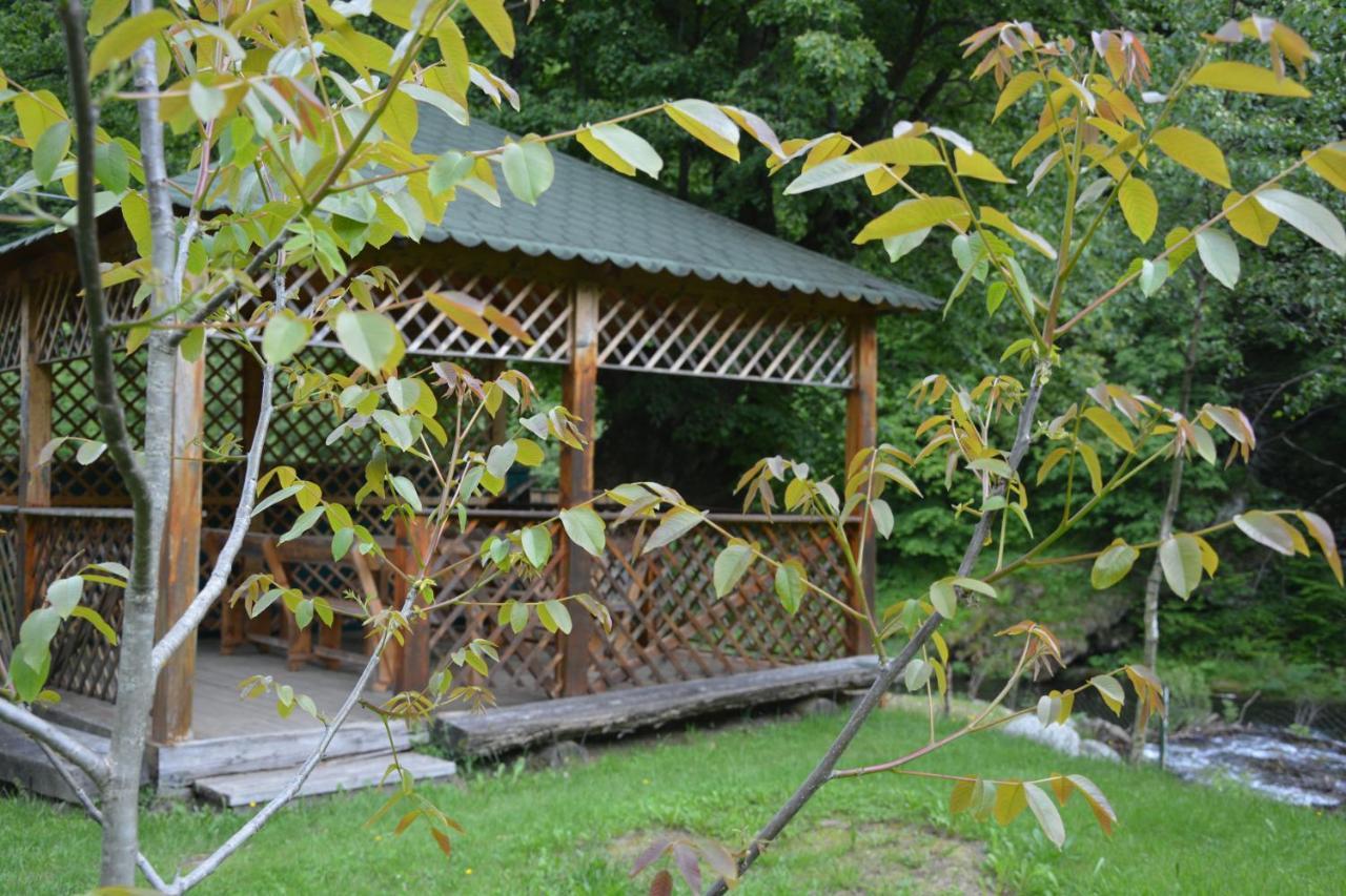 Casa Verde Rîu de Mori Exterior foto