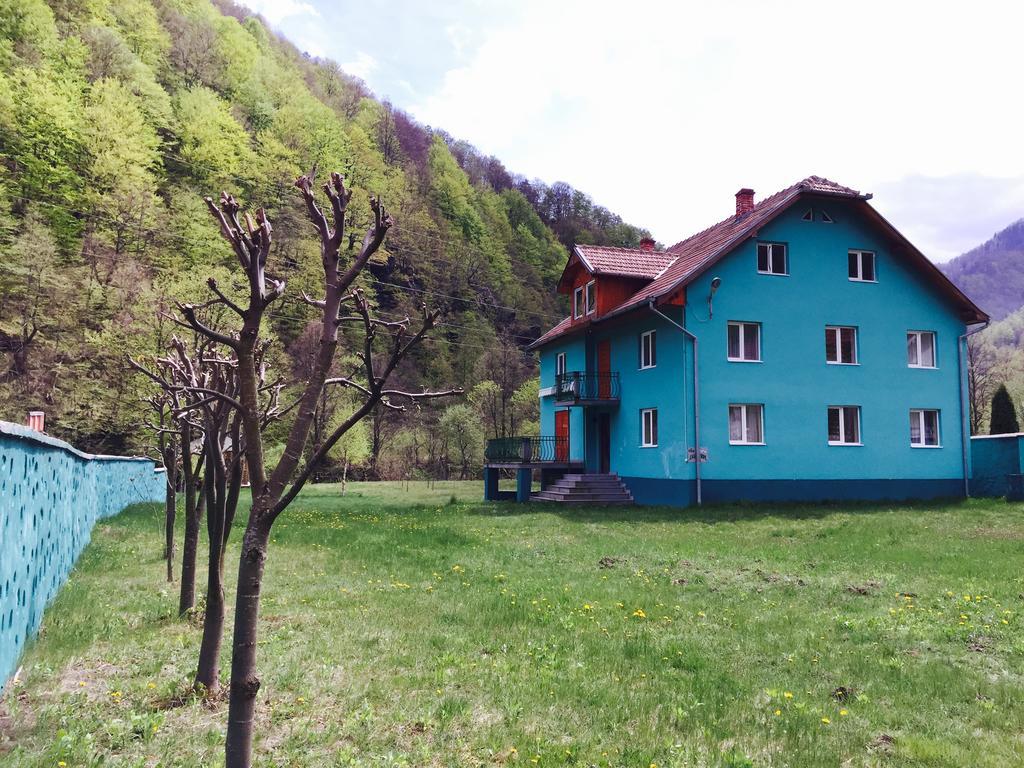 Casa Verde Rîu de Mori Exterior foto